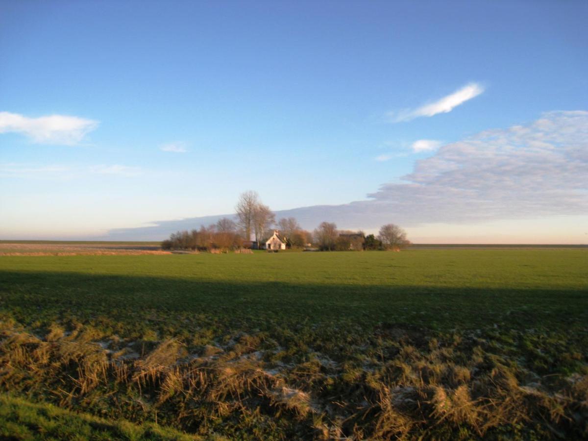 Haus Kormoran Am Lauwersmeer 175 Anjum Exterior foto
